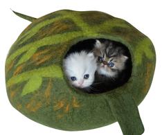 green leaf cat cave